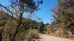 photo thumbnail #15