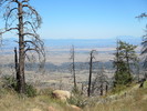 photo thumbnail #8