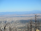 photo thumbnail #9