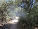 photo thumbnail #10