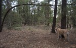 photo thumbnail #4