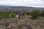 photo thumbnail #7