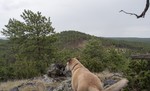 photo thumbnail #9