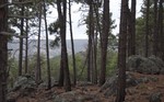 photo thumbnail #10