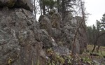 photo thumbnail #11
