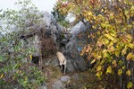 photo thumbnail #10