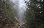 photo thumbnail #11