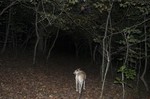 photo thumbnail #2