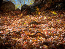 photo thumbnail #9
