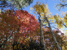 photo thumbnail #14