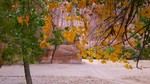 photo thumbnail #7