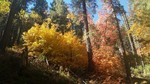 photo thumbnail #3