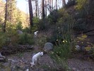 photo thumbnail #3