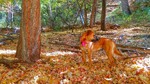 photo thumbnail #5