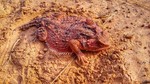 photo thumbnail #11
