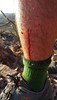 photo thumbnail #5