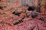 photo thumbnail #4