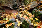 photo thumbnail #8
