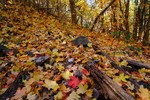 photo thumbnail #9