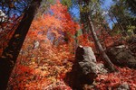 photo thumbnail #11