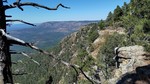 photo thumbnail #5