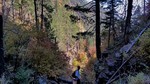 photo thumbnail #9
