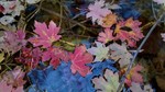 photo thumbnail #11