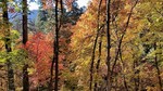 photo thumbnail #14