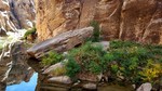 photo thumbnail #8