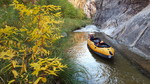 photo thumbnail #10