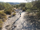 photo thumbnail #1