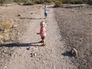 photo thumbnail #2