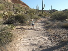photo thumbnail #4