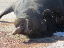 photo thumbnail #2