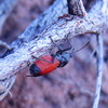 photo thumbnail #6