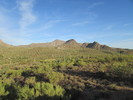 photo thumbnail #1