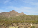 photo thumbnail #2