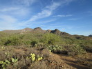 photo thumbnail #3