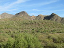 photo thumbnail #4