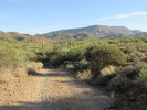 photo thumbnail #5