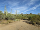 photo thumbnail #6