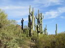 photo thumbnail #7