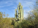photo thumbnail #8