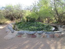photo thumbnail #9