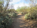 photo thumbnail #11