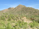 photo thumbnail #12