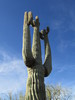photo thumbnail #13