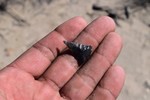 photo thumbnail #3