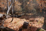 photo thumbnail #1