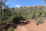 photo thumbnail #5